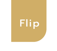 Flip