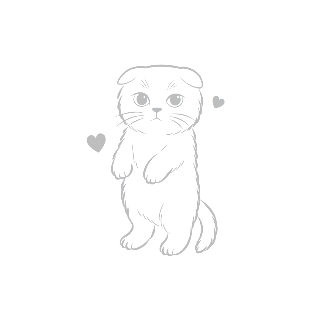 (pre-order 14 days) SM-RS [Laser Scottish fold]