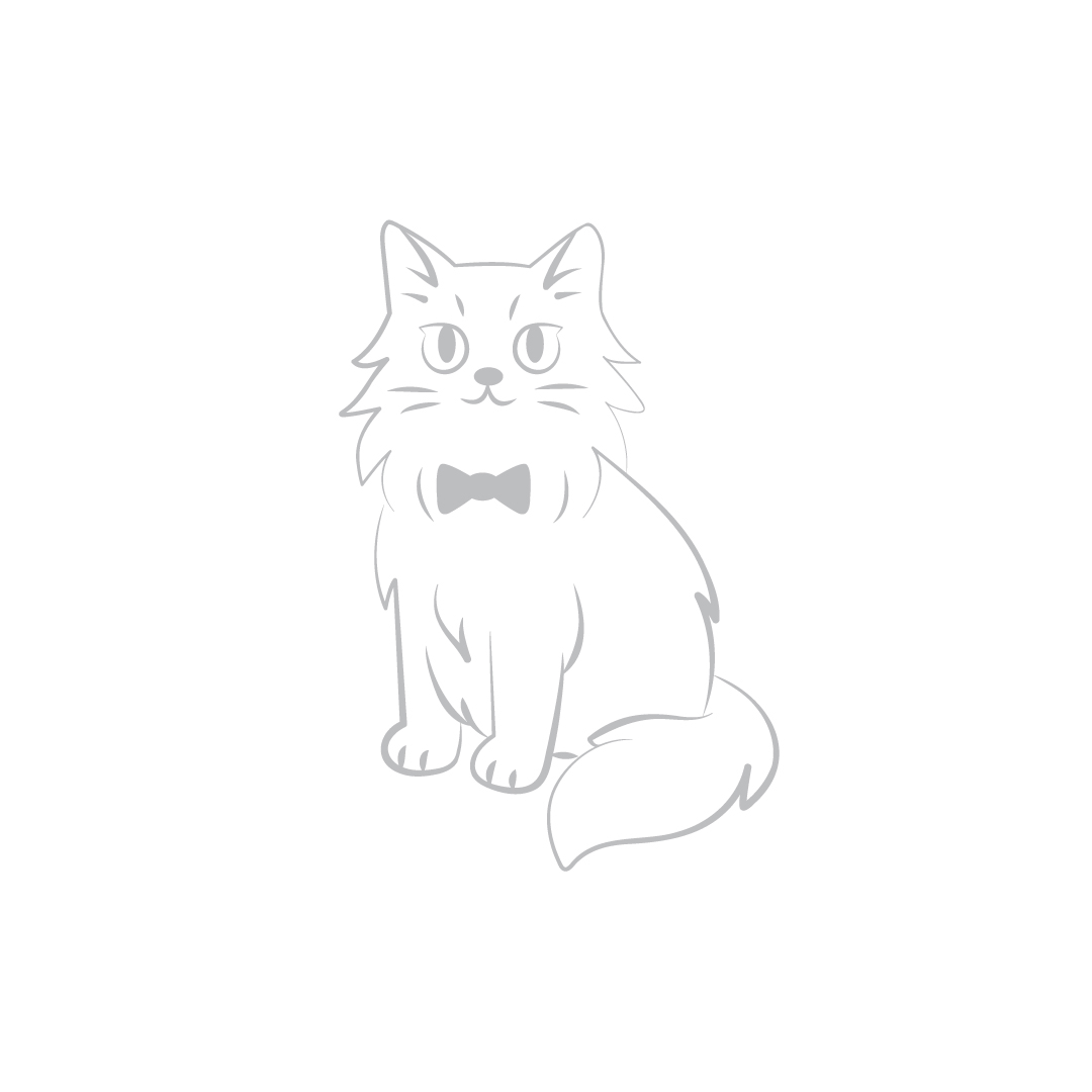 (pre-order 14 days) SU-AA [Laser Maine Coon]
