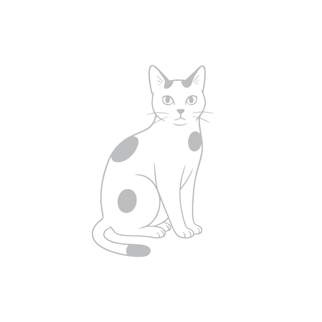 (pre-order 14 days) SM-RS [Laser Siamese Cat]